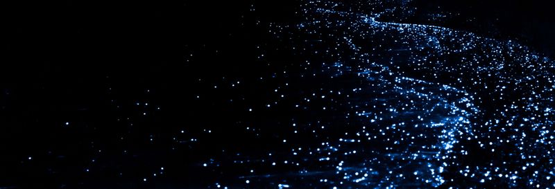 Billet Observation de plancton luminescent en kayak