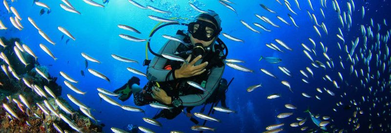 Billet Plongée à Panama