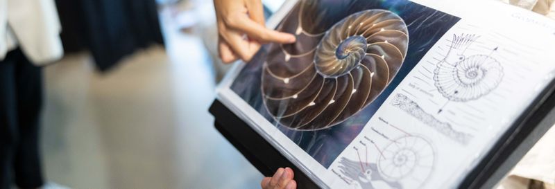 Billet Balade en bateau vers le flysch noir de Mutriku + Centre d'interprétation Nautilus