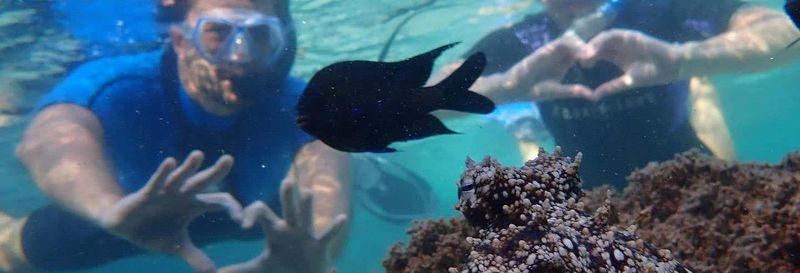 Billet Snorkeling à Porto dos Frades