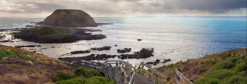 Billet Excursion d'une journée à Phillip Island