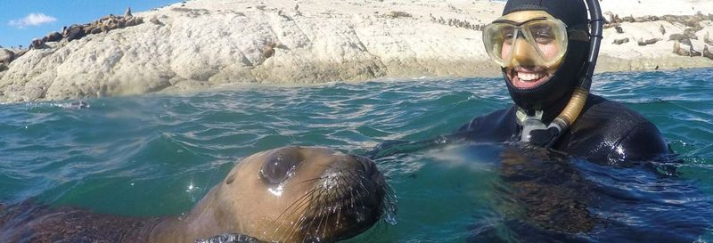 Billet Baptême de plongée et snorkeling avec les otaries à Punta Loma