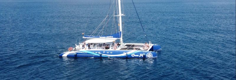 Billet Balade en catamaran d'une journée