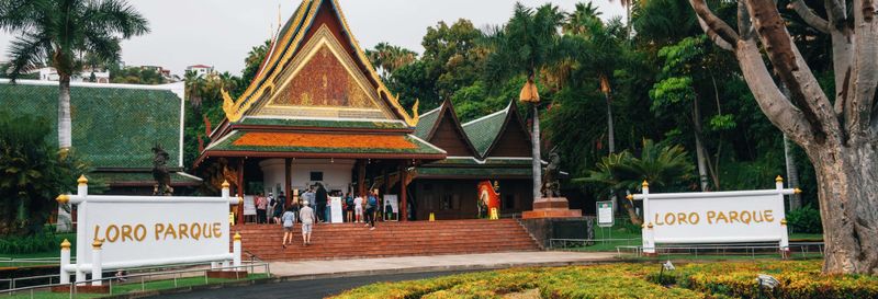 Billet Offre : Loro Parque + Siam Park