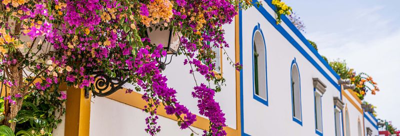 Billet Excursion à Maspalomas, Mogán et au ravin de Guayadeque