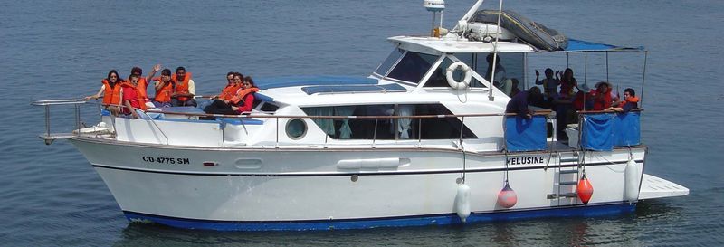 Billet Balade en bateau privé depuis Callao