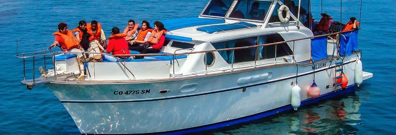 Billet Balade en bateau aux îles Palomino