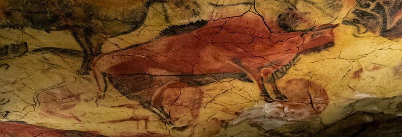 Billet Visite guidée à la Néogrotte et au Musée d'Altamira