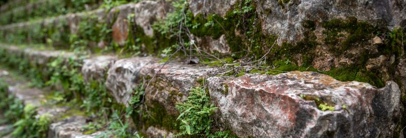 Billet Excursion de 2 jours aux cascades Las Golondrinas et Bonampak + Rafting