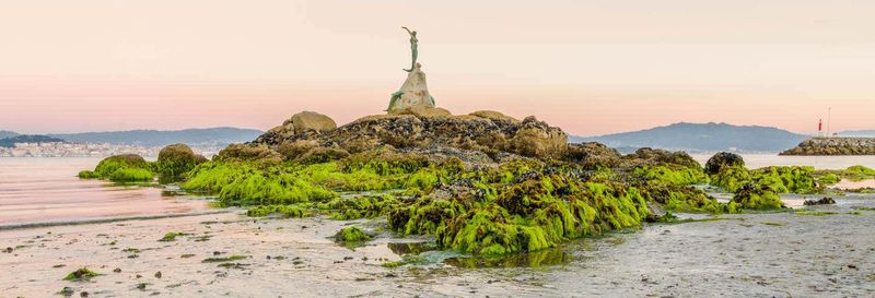 Billet Balade en bateau vers l'île de Saint-Simon