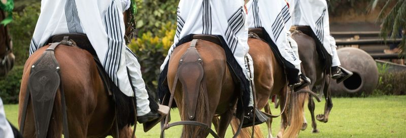 Billet Visite de Pachacamac + Spectacle de chevaux péruviens