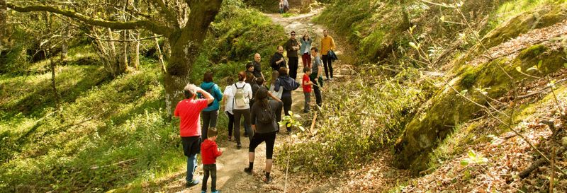 Billet Randonnée à San Salvador dos Penedos