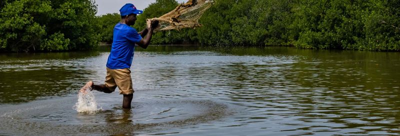 Billet Pêche au crabe dans les mangroves de Carthagène des Indes