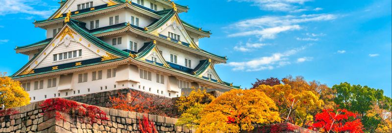 Billet Visite guidée du château d'Osaka