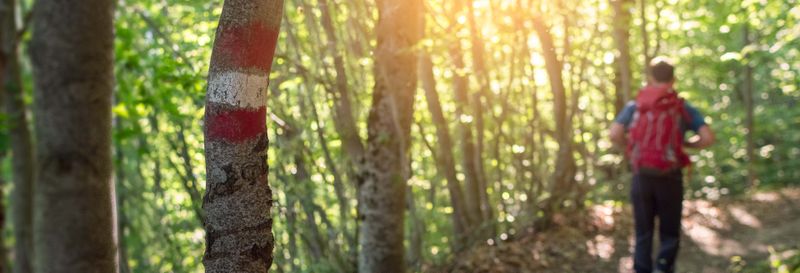 Billet Randonnée dans Bertioga + Balade en bateau