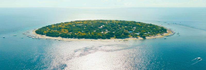 Billet Excursion à Balicasag avec observation des dauphins