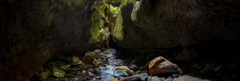 Billet Excursion aux grottes de Bayano + Kayak sur le río Tigre