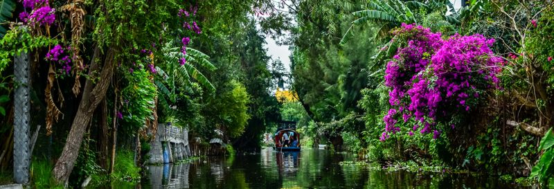 Billet Visite des quartiers de Xochimilco et de Coyoacán en groupe réduit