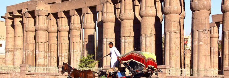 Billet Balade en calèche dans Louxor