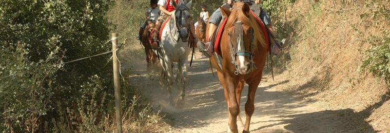 Billet Balade à cheval dans les environs de Llavorsí