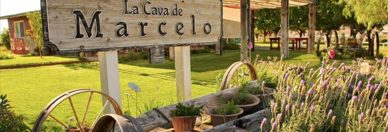 Billet Dégustation de vin et de fromage dans la vallée de Ojos Negros