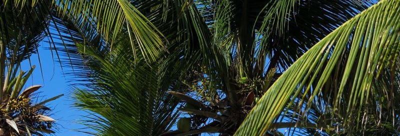 Billet Transfert à Atins en bateau à moteur