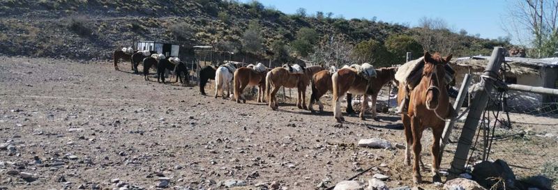 Billet Balade à cheval dans le domaine Las Hermosas + Asado argentin