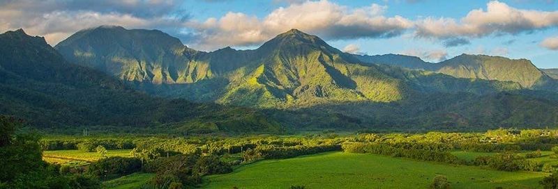 Billet Excursion à Kauai en avion