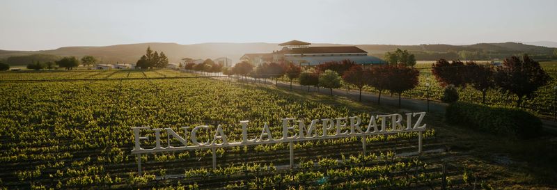 Billet Visite du vignoble de la Finca La Emperatriz