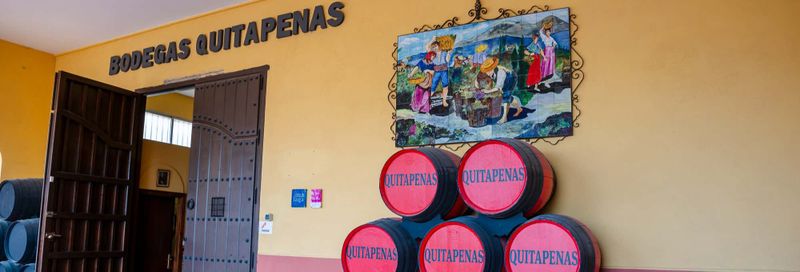 Billet Visite de la cave à vin Bodegas Quitapenas