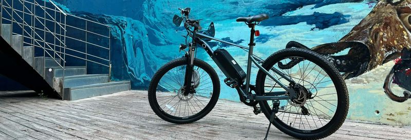 Billet Balade à vélo électrique dans Carthagène