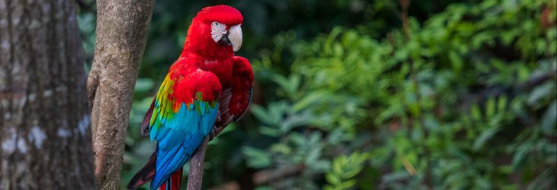 Billet Excursion au Biocentre Güembé