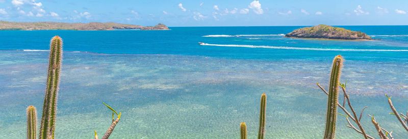 Billet Balade en bateau dans la baie du Robert