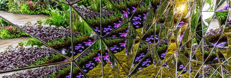 Billet Billet pour le jardin botanique de New York