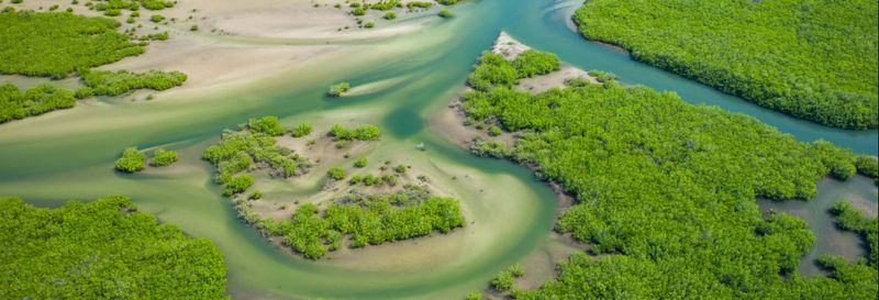 Billet Circuit de 8 jours à la découverte des merveilles de la Gambie