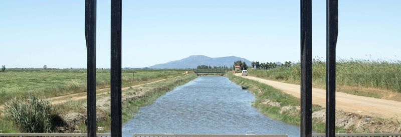 Billet Observation d'oiseaux dans le delta de l'Ebre