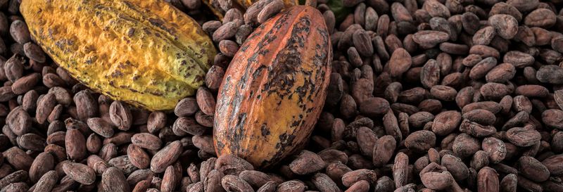 Billet Visite sur le thème du cacao et du café