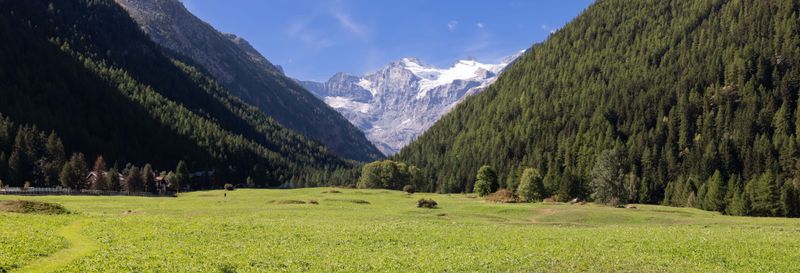 Billet Balade en calèche dans le parc national du Grand Paradis