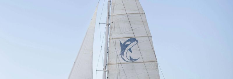 Billet Observation de dauphins au coucher du soleil à Puerto Calero