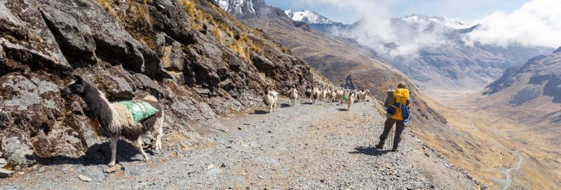 Billet Trek de 4 jours sur le sentier El Choro