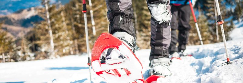 Billet Balade en raquettes à neige dans les forêts de Tallinn