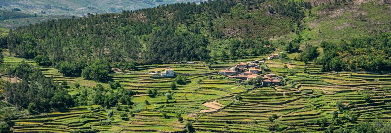 Billet Randonnée à Sistelo