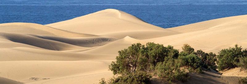 Billet Excursion à Tiznit + Desert Safari