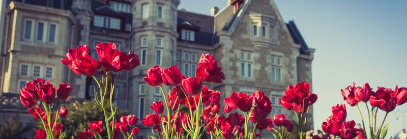 Billet Visite guidée du parc et du palais de la Magdalena