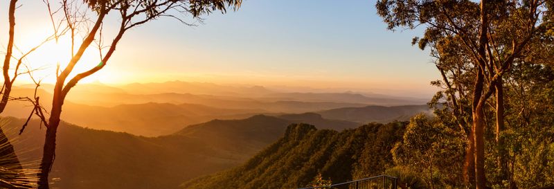 Billet Visite à la découverte du vin au Mont Tamborine