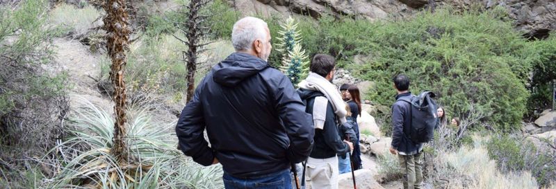 Billet Randonnée privée à la cascade Las Ánimas