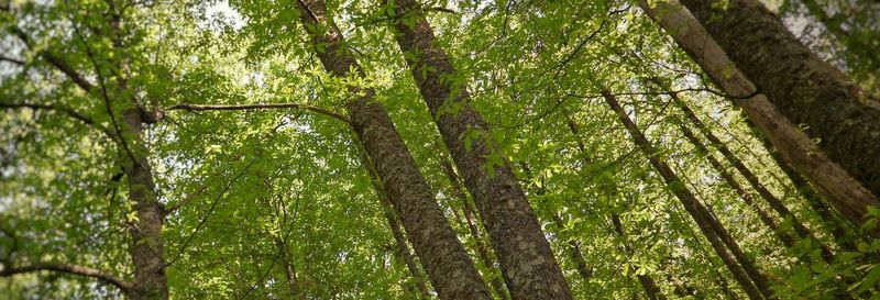 Billet Randonnée dans la vallée de l'Ambroz