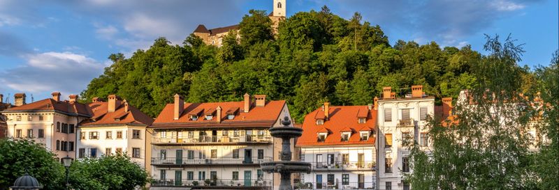 Billet Visite guidée dans Ljubljana