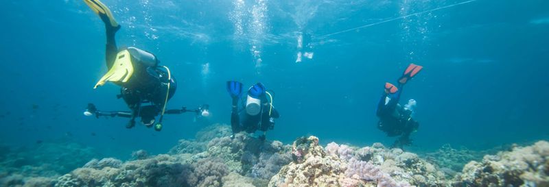 Billet Plongée à Pattaya