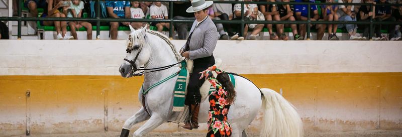 Billet Spectacle équestre à El Ranchito